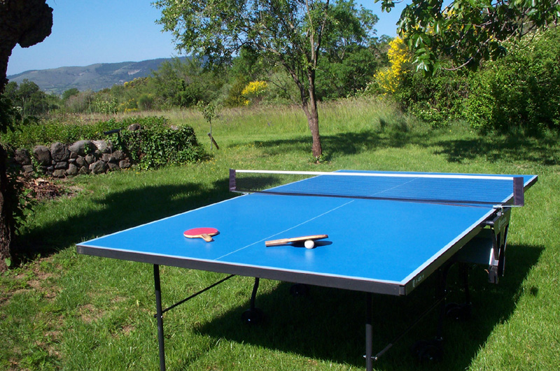 Table tennis